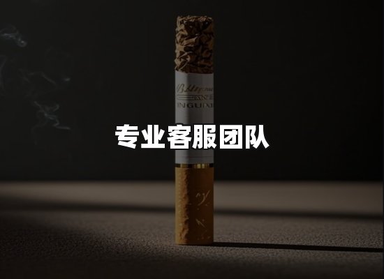 专业优势
